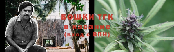 не бодяженный Бородино