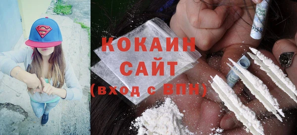 PSILOCYBIN Бронницы