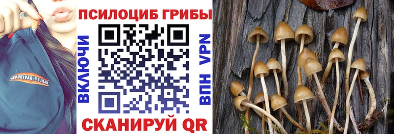 Псилоцибиновые грибы Magic Shrooms  сайты даркнета какой сайт  Тольятти  omg ссылки 